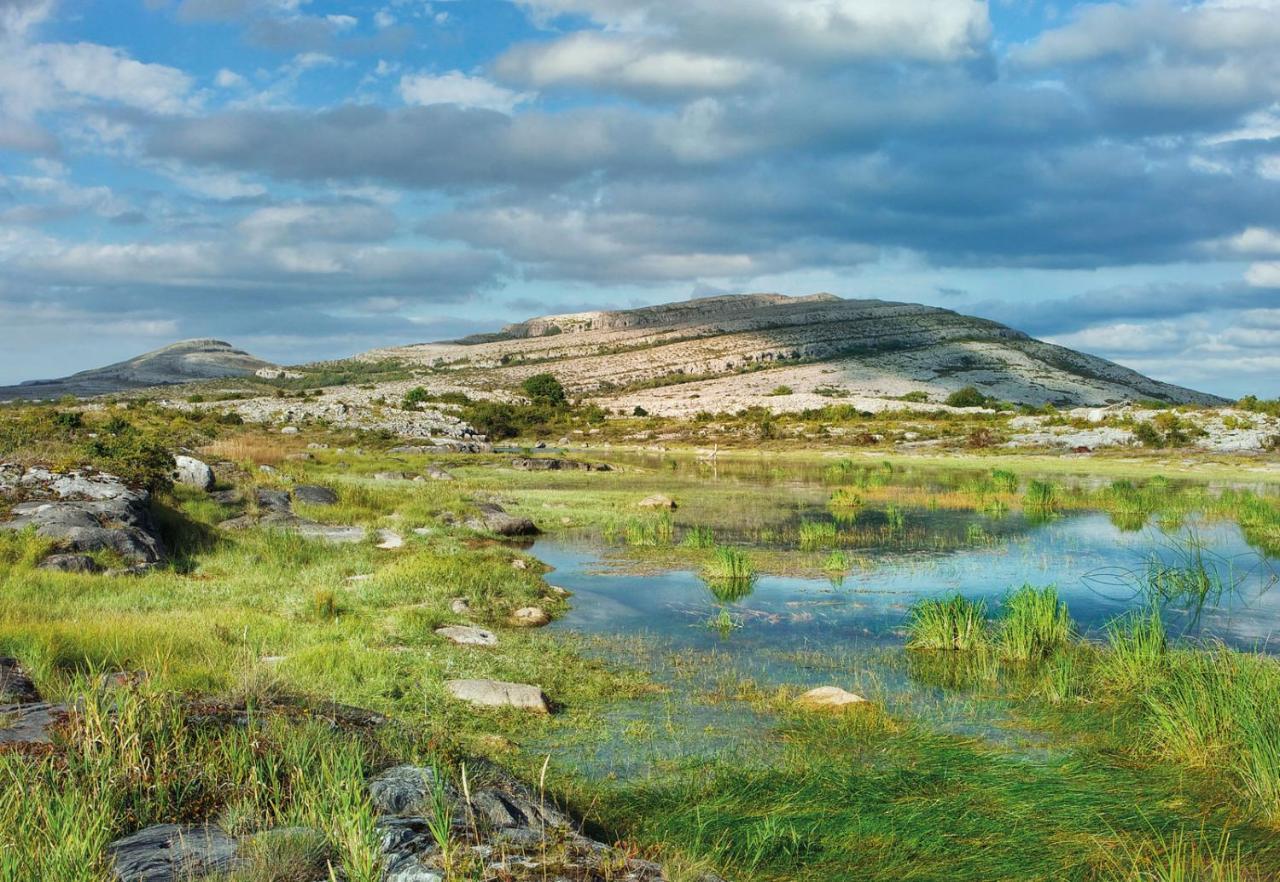 Elfin * Doolin